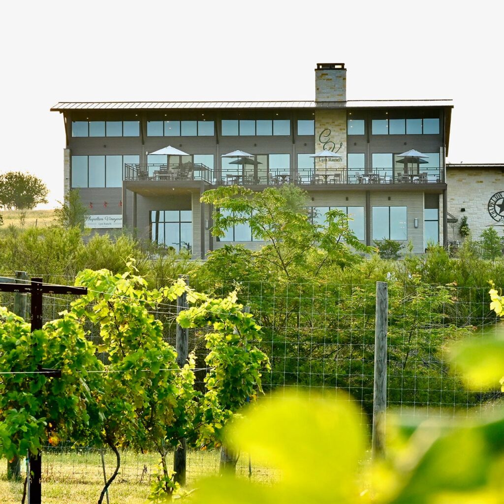 Chapelton Tasting Room Vineyard