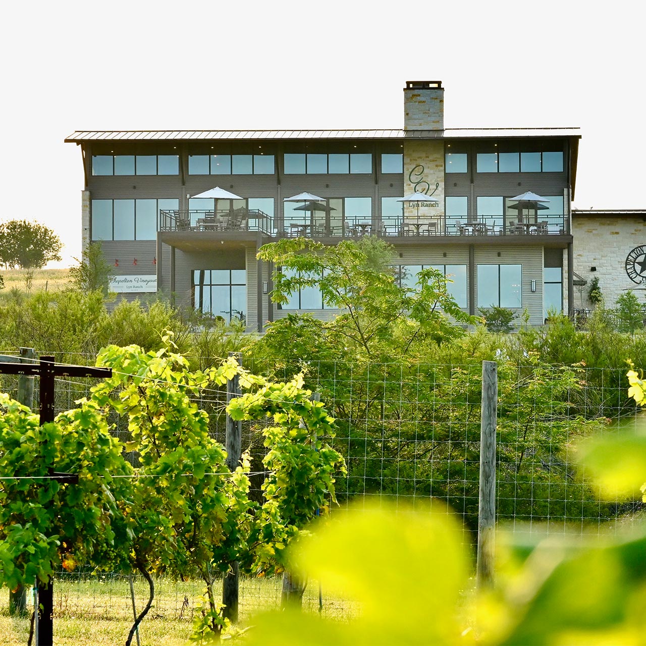 Chapelton Tasting Room Vineyard