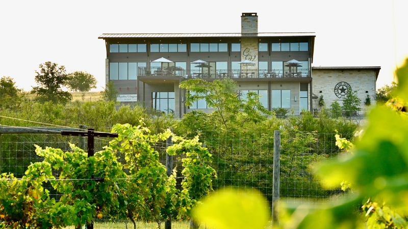 Chapelton Vineyards in Washington County featured in Houston Chronicle story on Texas wine country
